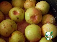 �������-�������� ���� �����������