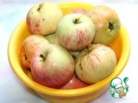 ����� � �������� ���� � �������-��������� ������ �����������