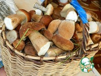 ����� �� ������� ������� �����������