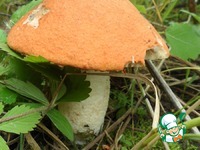 ��������� ������������� ������������� ������� �����������