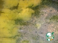 ����������� ���� �����������