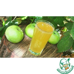 �������� ����, ������ ������������� � �����������