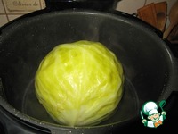 ������������� ����� �����������