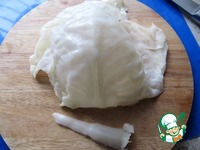 ������������� ����� �����������