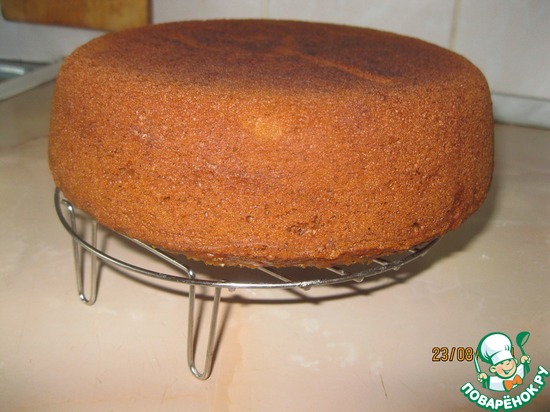 ������ ������� �����