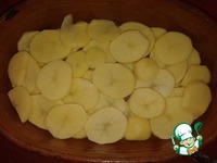 ����� ������� ������ �����������