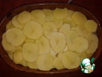 ����� ������� ������ �����������