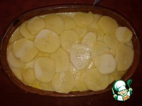 ����� ������� ������ �����������