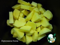 ��������� � �������� � �������� �����������