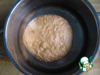 ���� "�����-������" � ����������� �����������