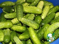 ��������� ����� "������ ������" �����������