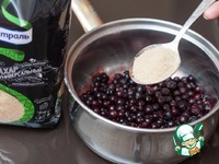 ���������-��������� ������� � ����������������� ���� �����������