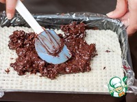 ���������-��������� ������� � ����������������� ���� �����������