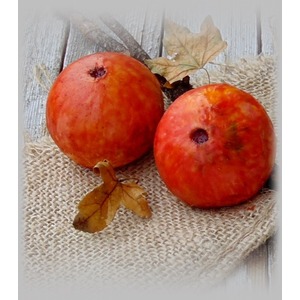 ���������� �������� "������"