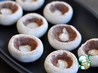 �����, ���������� � ������ � ��������� �����������