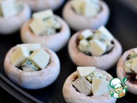 �����, ���������� � ������ � ��������� �����������