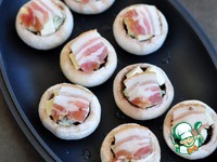 �����, ���������� � ������ � ��������� �����������