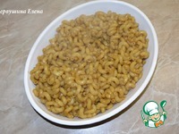 ����, ������������ � ������ � ������ ������ �����������