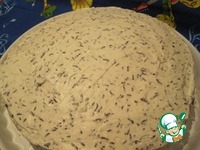 ���� "�������" �����������