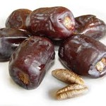 ����� ���� ���