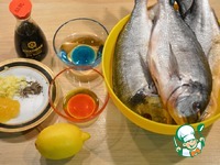 ������ ����� � ������ ����� �����������