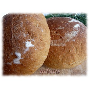 ���� ������� �� ��������