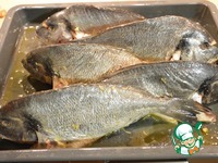 ������ ����� � ������ ����� �����������