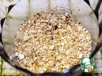 ������������ ������ �����������