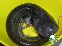 ���, ���������� � ���������� �����������