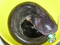 ���, ���������� � ���������� �����������