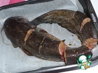 ���, ���������� � ���������� �����������