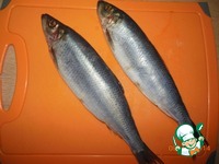 ������ � �������� �����������