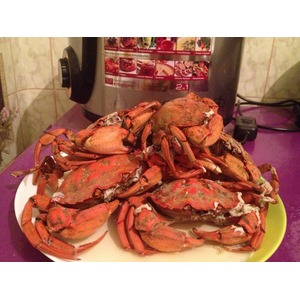 ������� �������� �����