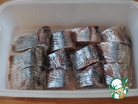 ������������ ������ "���������" �����������