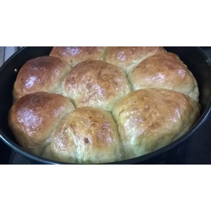 ���������� ����