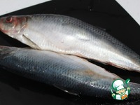 ������������ ������ � ������ ������ �����������