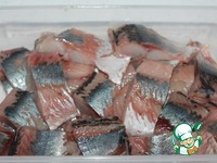 ������������ ������ � ������ ������ �����������