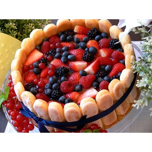 ����-���� "�������"