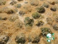 �����-��������� ��������� �� ������������ ������� �����������