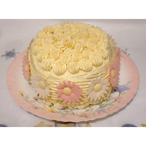 ������-������ ����