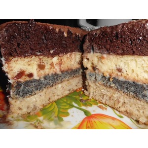 ���� "�����������" � �����������