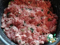 �����-�������� ��������� � ����� �����������