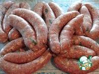 �����-�������� ��������� � ����� �����������