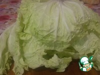 ����� "������" �����������