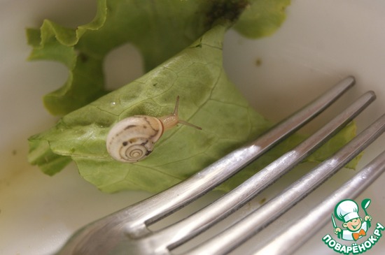 ����� � ����� �������.