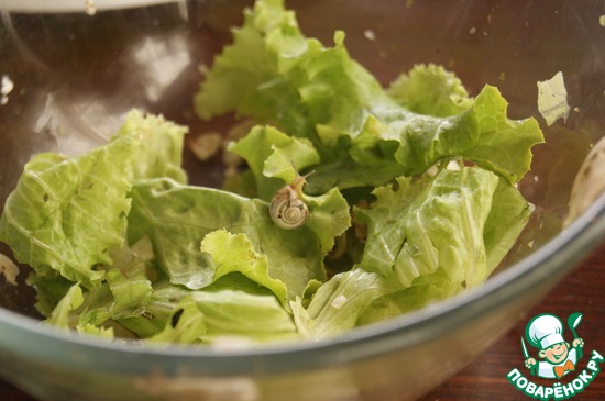 ����� � ����� �������.