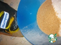 ��������-��������� ���� �����������