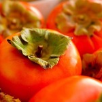 �����. 10 �������� �������