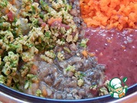 ���������-������� ������ � ������ "�����������" �����������