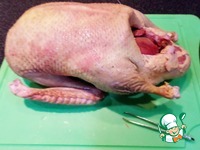 ����������� ��������� ���� �����������